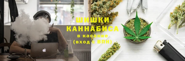 прущие грибы Арсеньев