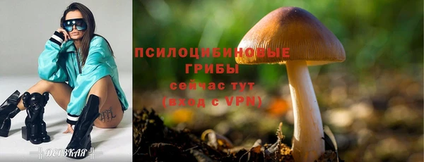 прущие грибы Арсеньев