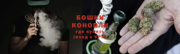 прущие грибы Арсеньев