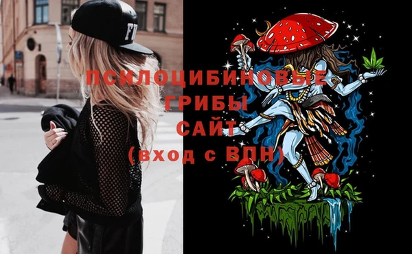 прущие грибы Арсеньев