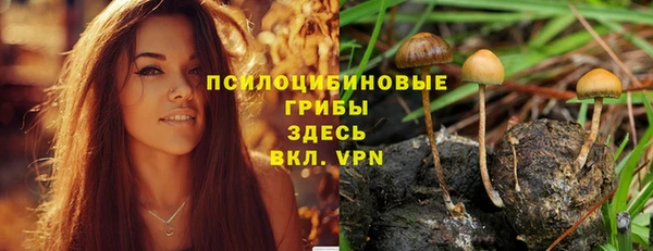 метамфетамин Аркадак